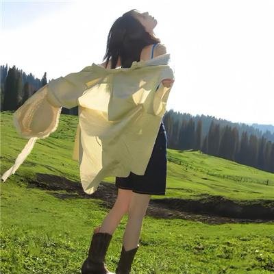 双旗镇刀客